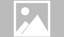 网红福利视频,热门内容背后的秘密解析